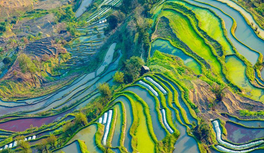宝妈必备神器：平桥区产品视频拍摄轻松育儿好帮手