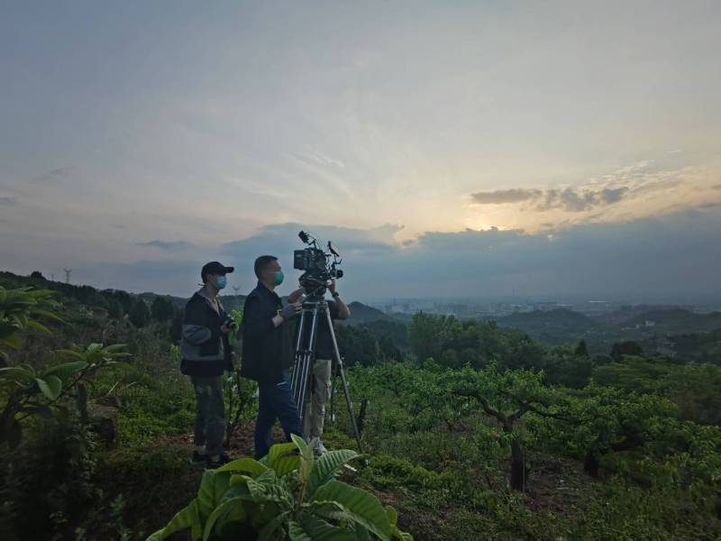 创意破圈！平桥区电商产品宣传视频用故事化叙事引爆流量