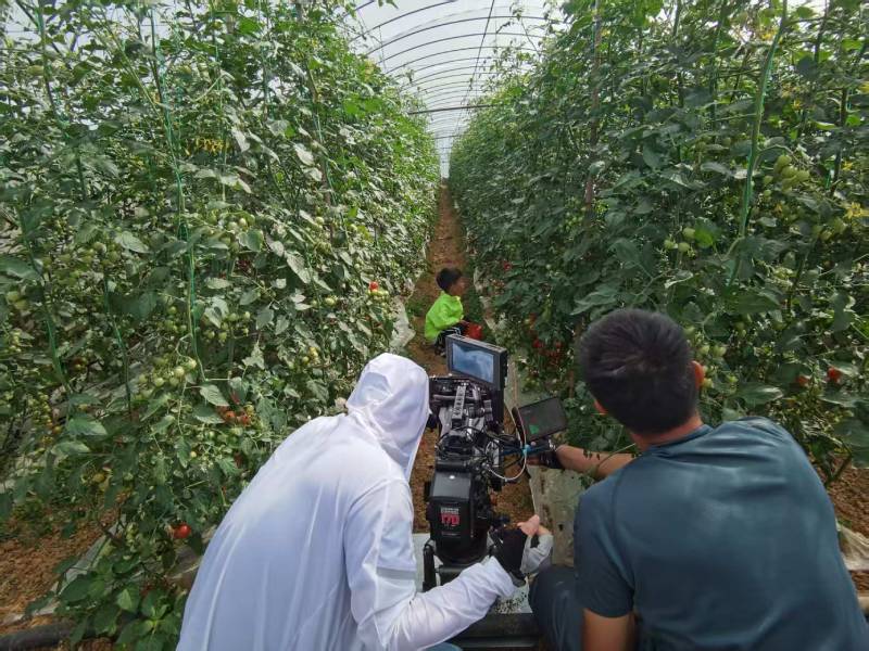 平桥区产品宣传视频拍摄公司进阶指南，助力品牌抢占传播高地